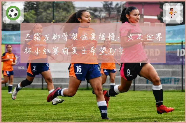 王霜左脚骨裂恢复缓慢,女足世界杯小组赛前复出希望渺茫